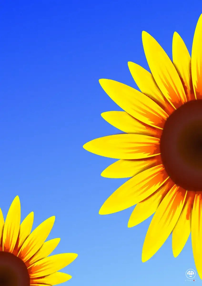 Sunflower Photography Artwork